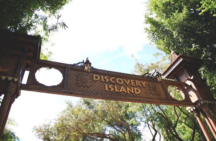 discovery island animal kingdom